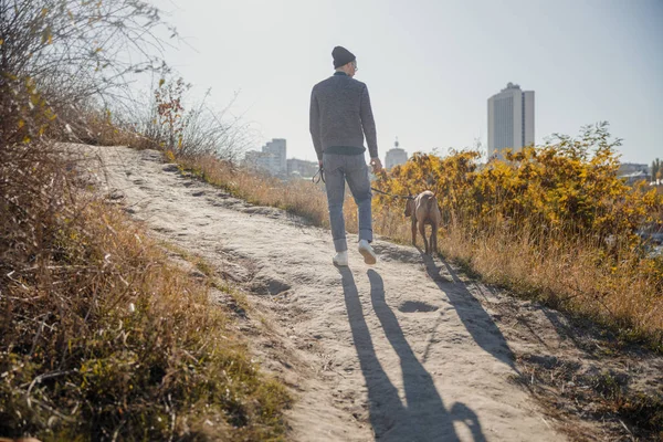 パスストックフォト上の大きな犬を持つ男 — ストック写真