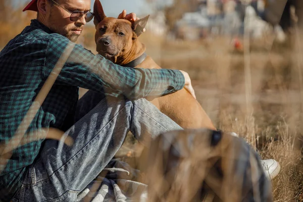 Propietario de perro joven calma con la foto de stock de mascotas — Foto de Stock