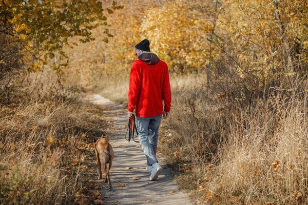 Молодой владелец выгуливает собаку на фото в лесу — стоковое фото
