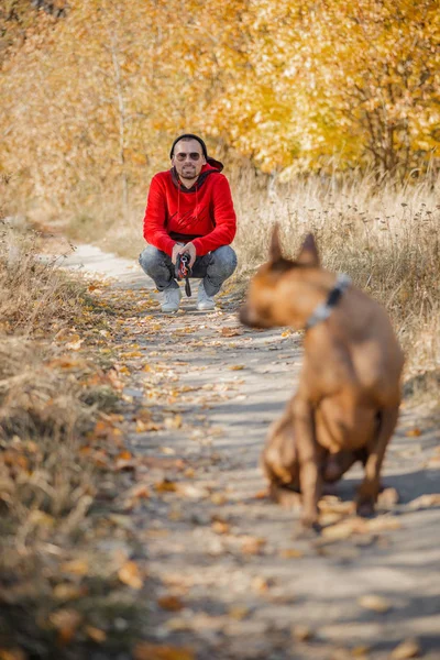 Homme assis et regardant son chien photo de stock — Photo