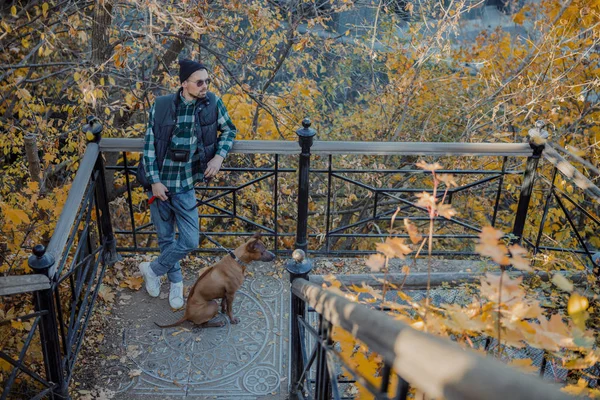 Человек с собакой на лестничной клетке — стоковое фото