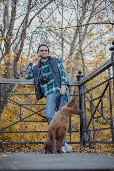 Herrchen geht mit Hund spazieren und telefoniert Archivfoto — Stockfoto