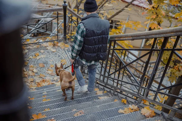 Mann und Hund kehren nach Spaziergang nach Hause zurück Archivbild — Stockfoto