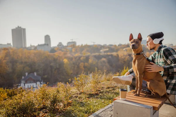 Wachhund auf der Bank in der Nähe seines Besitzers Archivbild — Stockfoto