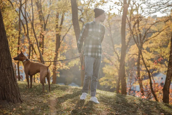 Mann und Hund schauen in verschiedene Richtungen Archivbild — Stockfoto