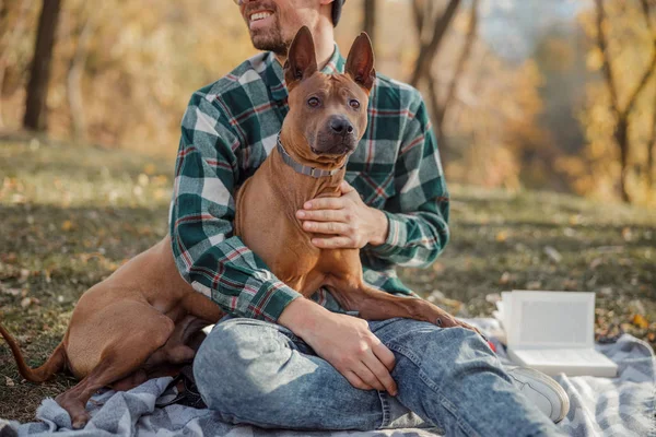 Neşeli adam muhteşem köpeğiyle vakit geçiriyor. — Stok fotoğraf