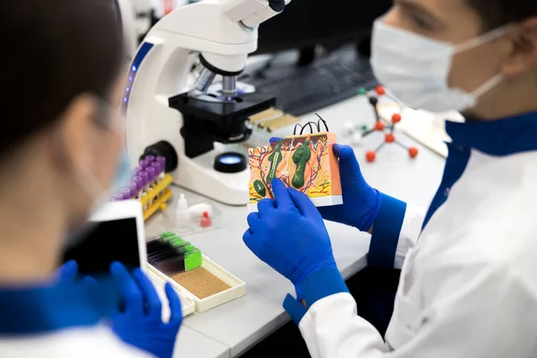 Výzkumníci pracující s anatomickým modelem ve vědecké laboratoři — Stock fotografie