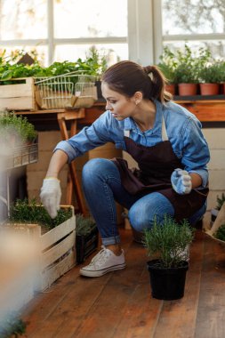 Çiçekçide bitkilerle ilgilenen bir kadın.