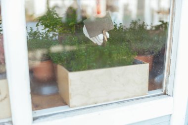 Kafkas kadın botanikçi çocuk odasında çalışıyor.