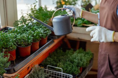 Şifalı bitkilerin önünde duran bir kadın.