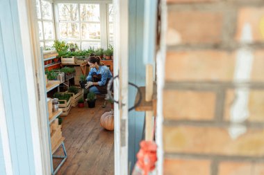 Biberiye fideleriyle ilgilenen kadın botanikçi.