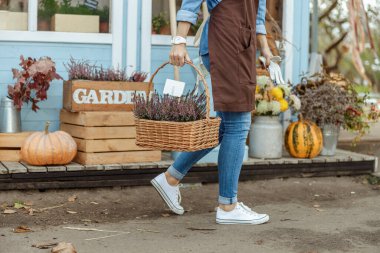 Çiçekçi kadın, iş kıyafetleri içinde bitki taşıyor.