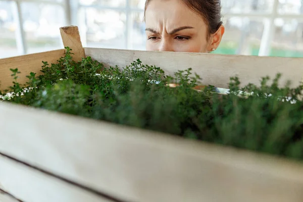 Mujer caucásica de pelo oscuro enfocada mirando a las plantas — Foto de Stock