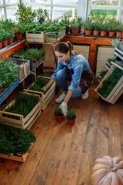 Femme regardant une plante sur le sol — Photo