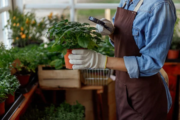 Kvinna med optisk anordning som håller en blomkruka — Stockfoto