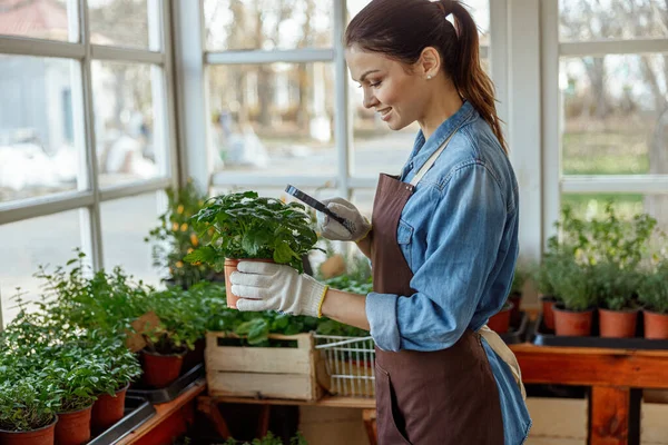 Leende vacker flicka inspektera citron balsam lövverk — Stockfoto