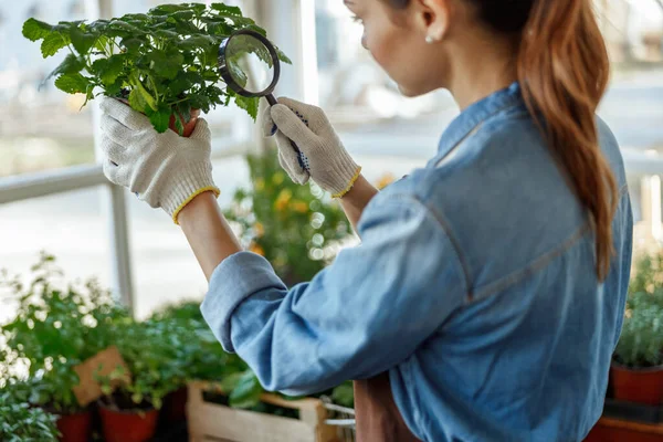 Mörkhårig ung kvinna som använder en optisk anordning — Stockfoto