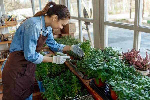 Flicka som använder en murslev för återplantering av en planta — Stockfoto