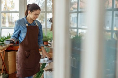 Genç bayan işçi dizüstü bilgisayara bakıyor.
