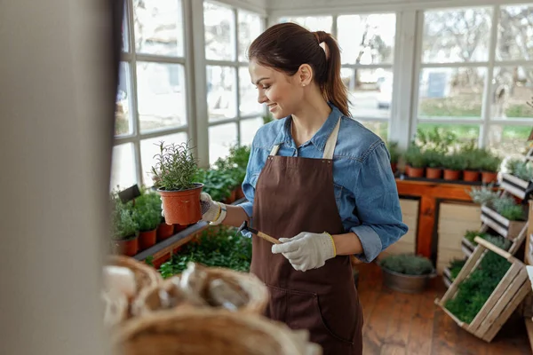 Mulher admirando uma planta em sua mão — Fotografia de Stock