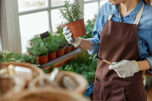 Frau in Arbeitshandschuhen hält Mini-Harke in der Hand — Stockfoto