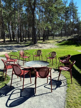 Ormandaki taşra kompleksinin çarpıcı manzarası