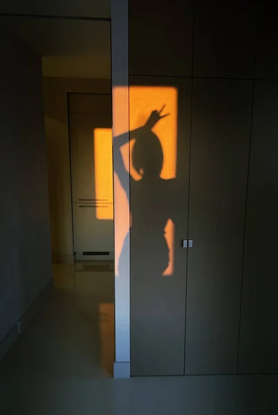 Belle silhouette de femme gracieuse sur les portes du placard — Photo