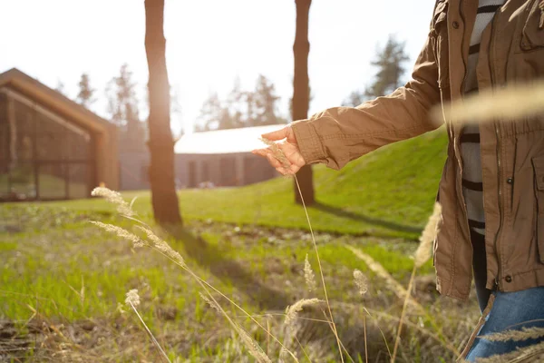 Vrouw aanraken mooi droog gras op zonnige dag — Stockfoto