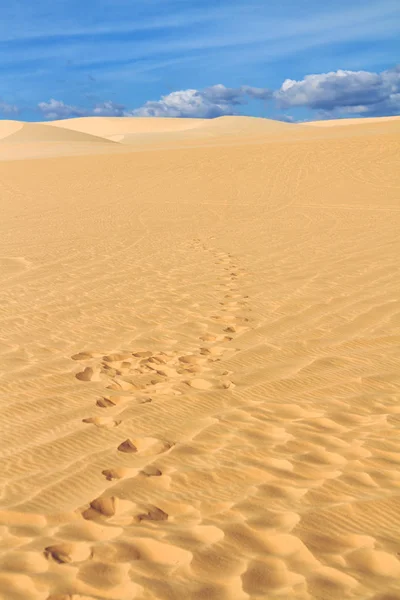 Duna de areia com pegadas — Fotografia de Stock