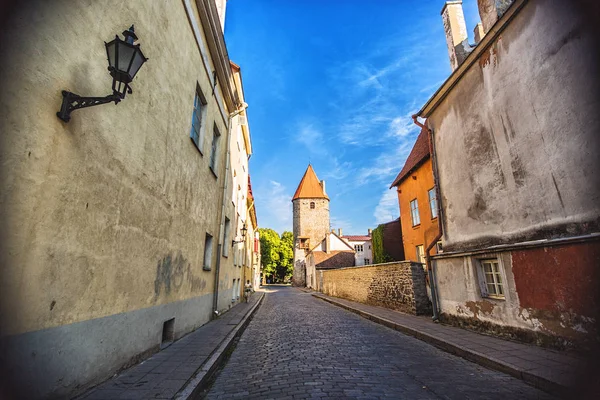 Eski şehirde Tallinn