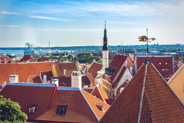 I gamla staden Tallinn i sommardag — Stockfoto