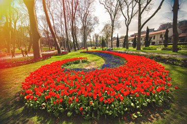 Istanbul Gülhane Parkı'yıllık Nisan Lale Festivali sırasında çiçekler