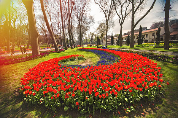 Цветы на ежегодном фестивале тюльпанов в Стамбуле в парке Гулхейн
