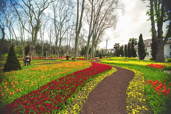 Istanbul Gülhane Parkı'yıllık Nisan Lale Festivali sırasında çiçekler