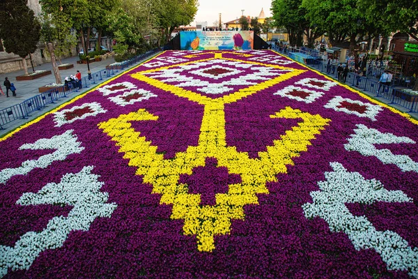 Teppich aus Tulpen in Istanbul — Stockfoto