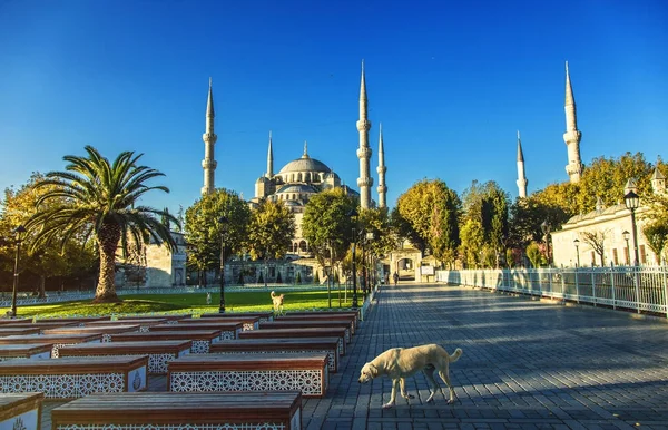 Вид на площадь Султанахмет с мечетью Султанахмет — стоковое фото