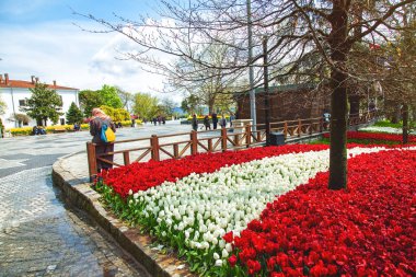 Emirgan Park 'taki lale festivalinde çiçek yatakları