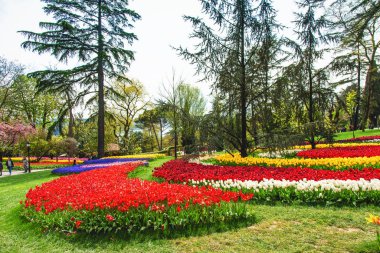 Emirgan Park 'taki lale festivalinde çiçek yatakları