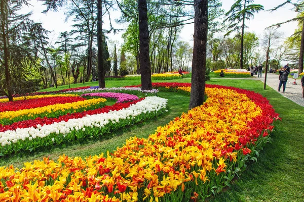 Parterres de fleurs dans le festival de tulipes à Emirgan Park — Photo