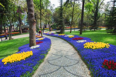 İstanbul Emirgan Parkı 'ndaki lale festivalinde çiçek yatakları