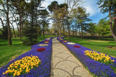 İstanbul Emirgan Parkı 'ndaki lale festivalinde çiçek yatakları