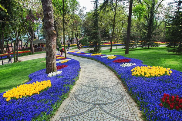 İstanbul Emirgan Parkı 'ndaki lale festivalinde çiçek yatakları