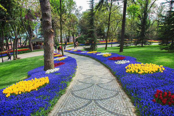 Цветочные клумбы на фестивале тюльпанов в парке Эмирган, Стамбул
