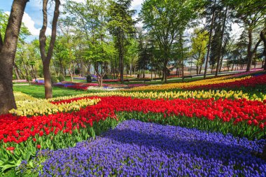 İstanbul Emirgan Parkı 'ndaki lale festivalinde çiçek yatakları