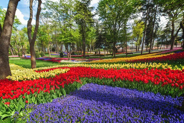 Macizos de flores en el festival de tulipanes en Emirgan Park, Estambul — Foto de Stock