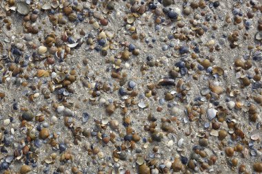 Gelgit tarafından püskürtülen mermiler.