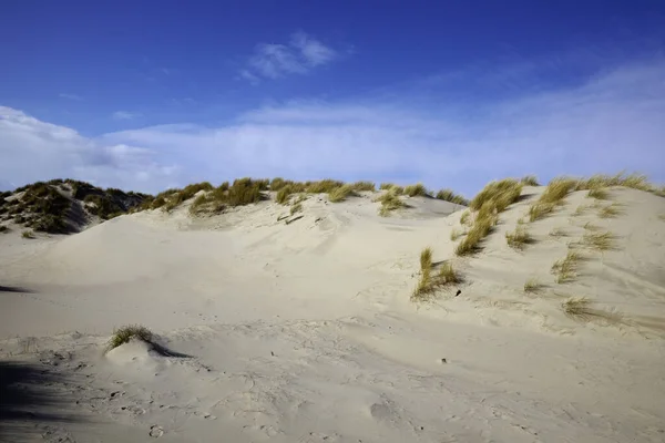 Dune landscape on the Dutch North Sea
