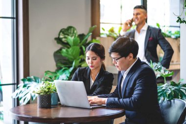 Proje ile fikirleri paylaşmayı tartışan bir grup profesyonel iş adamı. Yeşil santral terasında dizüstü bilgisayarla çalışan yaratıcı iş adamları modern çalışma odalarını dekore ettiler.