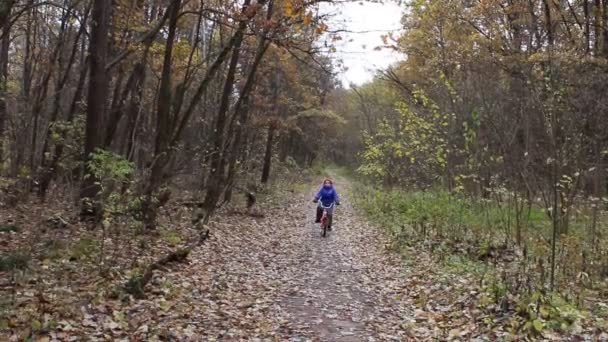 Хлопчик їде на велосипеді в осінньому лісі — стокове відео