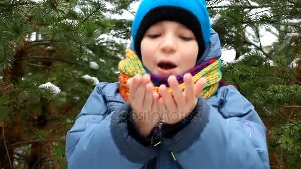 Jongen blaast een veelkleurige pailletten op de kerstboom in de winter. — Stockvideo